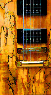 Fame Gitarre